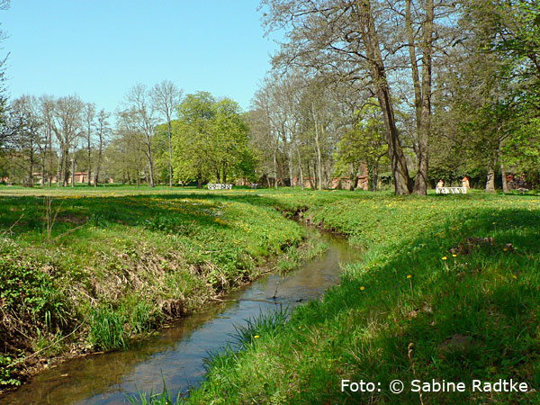 D e r   P a r k   u m   d a s   M ü n s t e r   