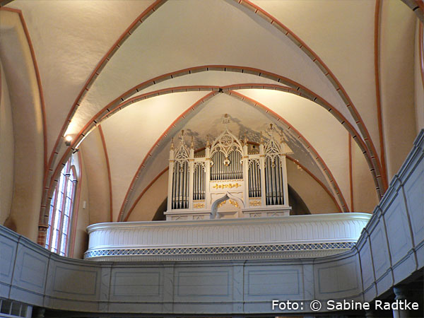 O r g e l   